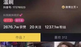 黑料头条,网络舆论背后的真相与争议